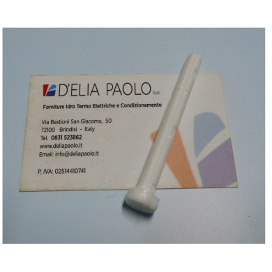 VITE FISSAGGIO PLACCA BIANCA NUPI ECOWAVE