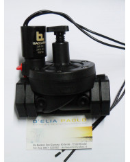 ELETTROVALVOLA BACCARA  DTV 1 FF 24V