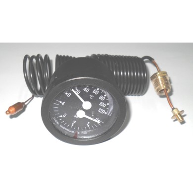 TERMOMANOMETRO A CAPILLARE DIAMETRO 52 MM DA 1/4