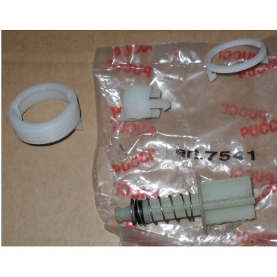 PULSANTE CON PISTONC-MOLLA-GUAR.-SIEGER-PROL 3 CM
