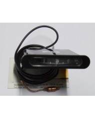 TERMOMETRO CAPILLARE RETTANGOLARE