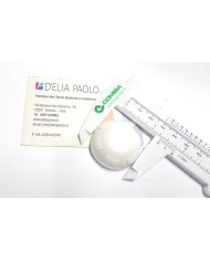 CAPPUCCIO GIACOMINI PER DETENTORI 1/2