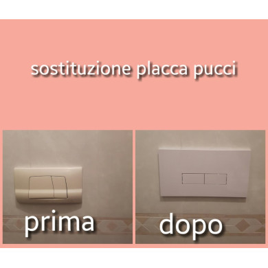 PLACCA PUCCI ECO 2 TASTI FLAT NUOVO MODELLO
