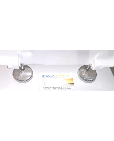 COPPIA CERNIERE CROMATE GTA GANCIO TR-DL REVIVAL