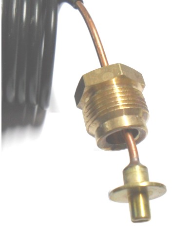 TERMOMANOMETRO A CAPILLARE DIAMETRO 52 MM DA 14X1