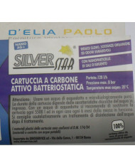 CARTUCCIA LINE 10X2 CARBONE ATTIVO  1/4-1/4