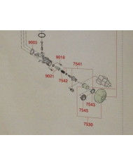 PULSANTE CON PISTONC-MOLLA-GUAR.-SIEGER-PROL 3 CM