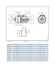 LOWARA CA 200/33/D BIGIRANTE KW 1.85 HP 2.5 TRIFAS