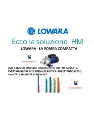 LOWARA 3HM05P07M 5 GIRANTI  KW 0.75 HP 1