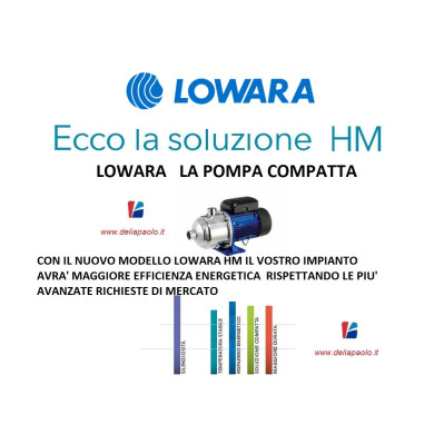 LOWARA 3HM05P07M 5 GIRANTI  KW 0.75 HP 1