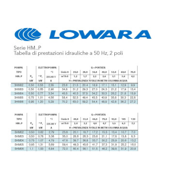 LOWARA 3HM03P05M 3 GIRANTI KW 0.5 HP 0.7