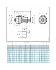 LOWARA CA 120/55/D BIGIRANTE KW 2.2 HP 3 TRIFASE