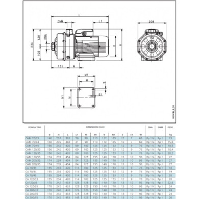 LOWARA CA 120/55/D BIGIRANTE KW 2.2 HP 3 TRIFASE
